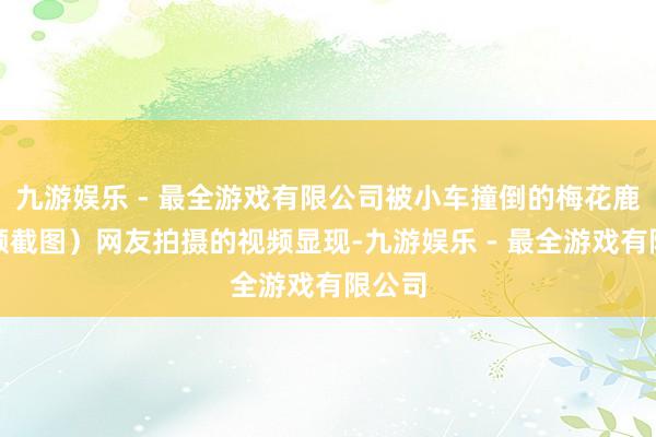 九游娱乐 - 最全游戏有限公司被小车撞倒的梅花鹿（视频截图）网友拍摄的视频显现-九游娱乐 - 最全游戏有限公司