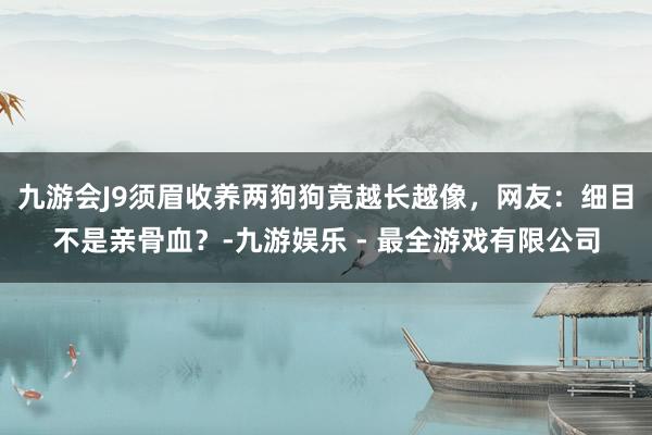 九游会J9须眉收养两狗狗竟越长越像，网友：细目不是亲骨血？-九游娱乐 - 最全游戏有限公司